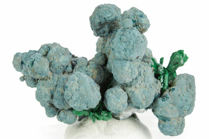 Fibrous Malachite on Blue Botryoidal Shattuckite - Namibia #363776